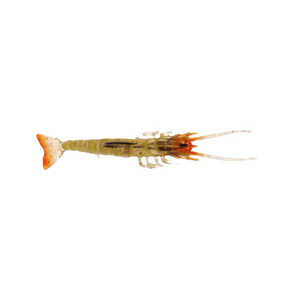 Albastar Gamba Silikon Karides