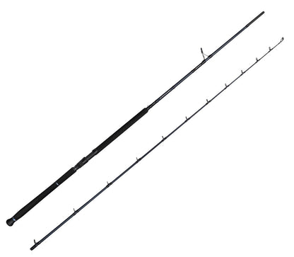 Savage Gear Defiance SG2 Shore Jig 2.90m 20-80gr 2 Parça Olta Kamışı