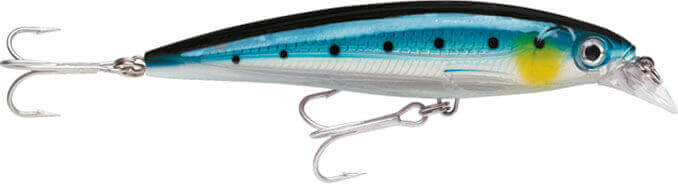 Rapala X-Rap Saltwater Sahte Balığı
