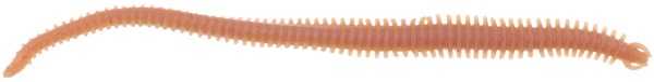 Berkley Gulp Alive Nereis Sahte Kurt NATURAL - 15CM / 14LÜ