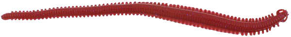 Berkley Gulp Alive Nereis Sahte Kurt BLOODY - 15CM / 14LÜ