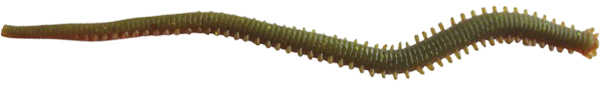 Berkley Gulp Alive Nereis Sahte Kurt CAMO - 15CM / 14LÜ