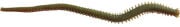 Berkley Gulp Alive Nereis Sahte Kurt CAMO - 15CM / 14LÜ