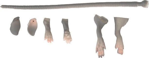 Savage gear LB 3D Rad Maintenance Kit 20 cm Grey Suni Maket Balık