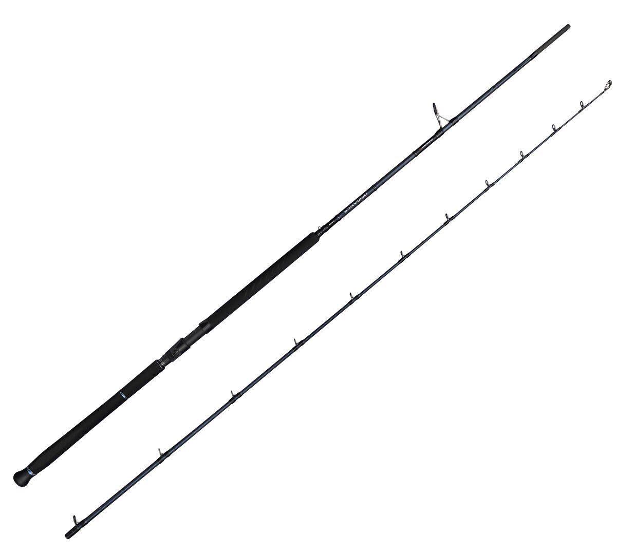 Savage Gear Defiance SG2 Shore Jig 2.90m 50-120gr 2 Parça Olta Kamışı