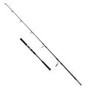 Captain 1410 Deep Game Fuji Jig Kamışı PE3-5 173cm 100-300gr Atar