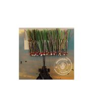 Çinekop Kösteği UV-GLOW Simli Youvella Kartonda 50 İğne 025mm Köstek Çinekop Kösteği UV-GLOW Simli Youvella Kartonda 50 İğne 025mm Köstek
