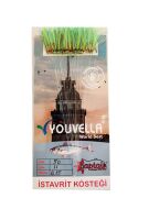 İstavrit Kösteği UV-GLOW Simli Youvella Kartonda 50 Kırmızı İğne 015mm Köstek 68