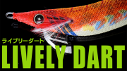 Hayabusa FS 510 Squid Junky Lively Dart Kalamar Zokası Size 35