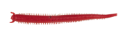Berkley Gulp Saltwater Fat Sandworm Sahte Kurt