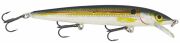 Rapala Husky Jerk Sahte Balığı SD - 80MM