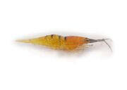 Captain 3060 Silikon Karides 9cm Suni Yem 5li Paket