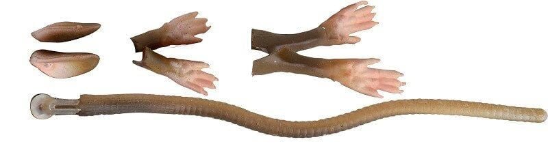 Savage gear LB 3D Rad Maintenance Kit 20 cm Brown Suni Maket Balık